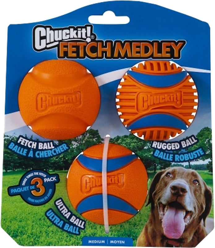 CHUCK-IT Chuckit! 47089 Dog Toy, Fetch, M, Ball, Orange