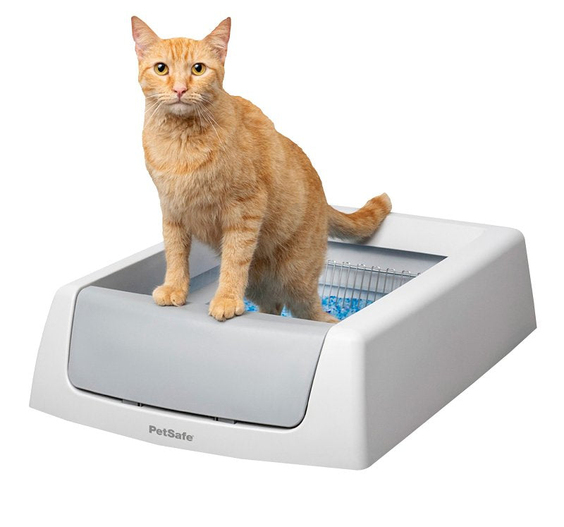 PETSAFE PetSafe ScoopFree PAL00-17296 Litter Box, 20.4 in W, 29 in D, Plastic