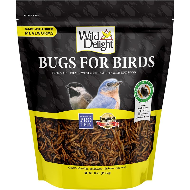 WILD DELIGHT Wild Delight Bugs For Birds 367866 Dried Mealworms Wild Bird Food, 16 oz, Pouch