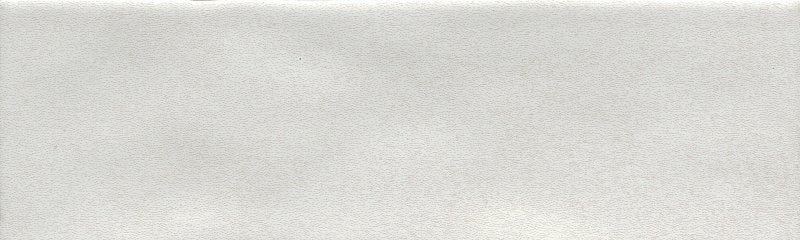 EMSER TILE Emser Tile Passion Series W32PASSBC0308P28 Porcelain Tile, 8 in L Tile, 3 in W Tile, Pressed Edge, Rectangular Pattern BUILDING MATERIALS EMSER TILE