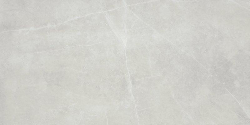 EMSER TILE Emser Tile Sterlina II Series F20STERSI1224 Porcelain Tile, 24 in L Tile, 12 in W Tile, Rectified Edge, Silver BUILDING MATERIALS EMSER TILE