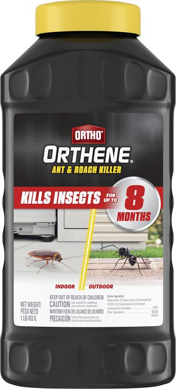 ORTHO Ortho Orthene 4612705 Ant and Roach Killer, Indoor, Outdoor, 16 oz LAWN & GARDEN ORTHO