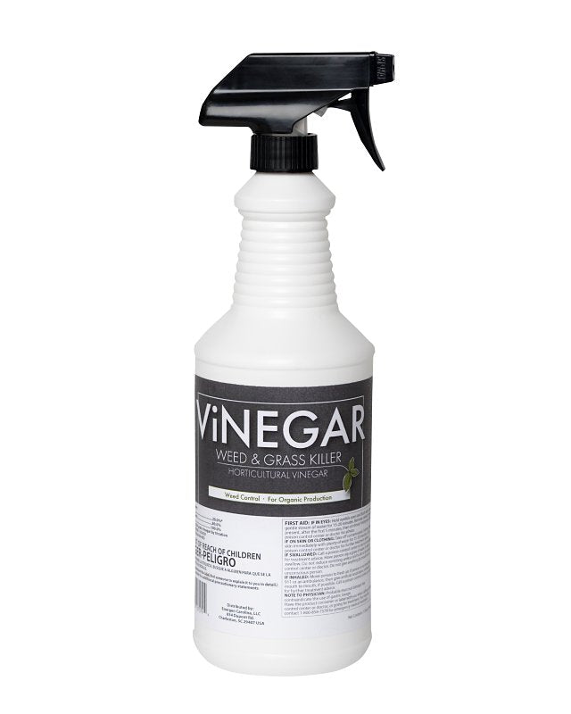 ENERGEN Sanco 579 Vinegar Weed Killer, 1 qt