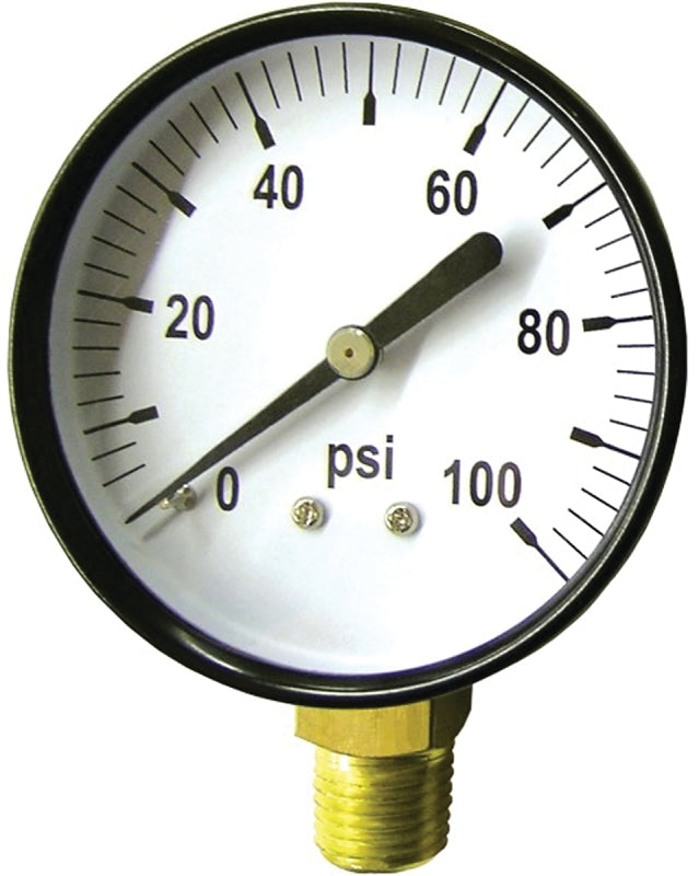 GREEN LEAF Green Leaf SG 100 1PK Pressure Gauge, Standard