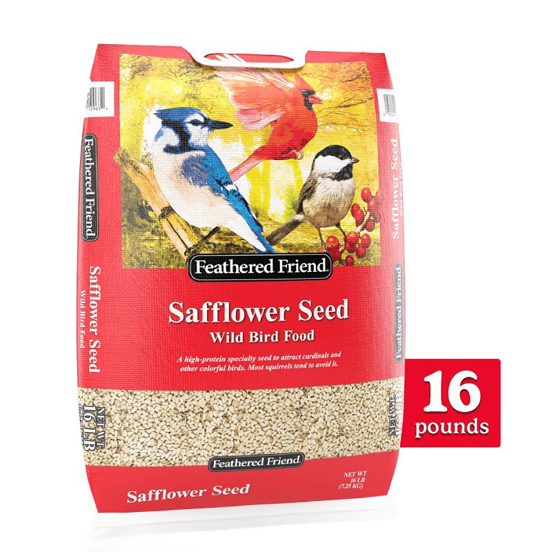FEATHERED FRIEND Feathered Friend 14420 Safflower Seed Wild Bird Food, Straight, Seed, 16 lb Bag