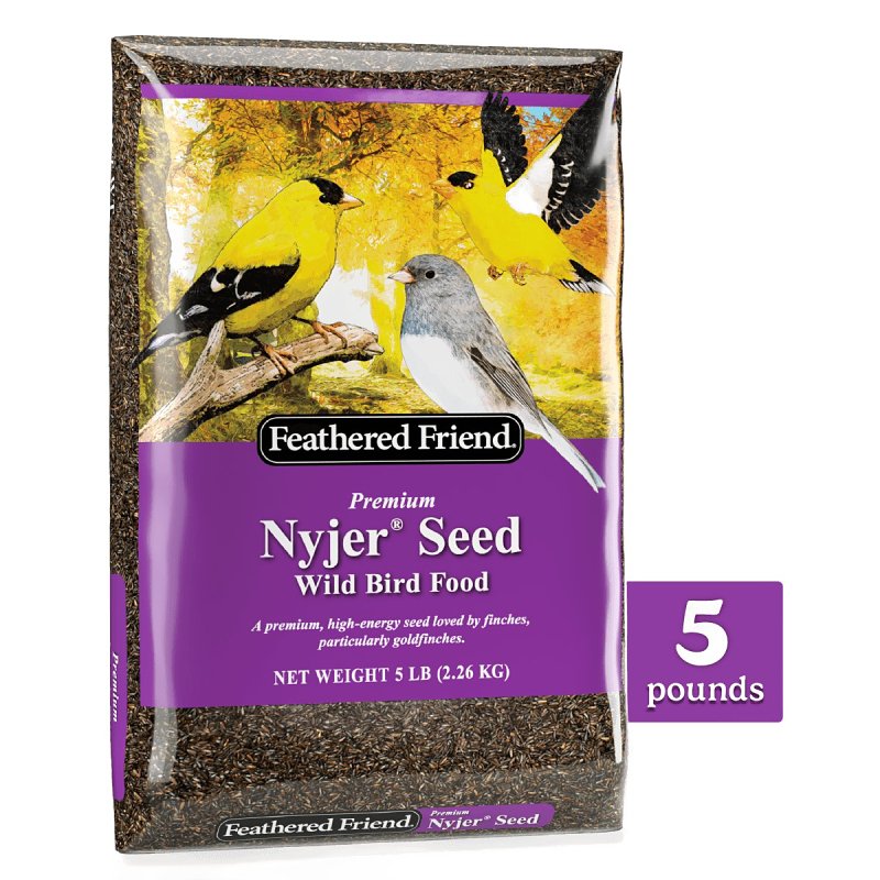 FEATHERED FRIEND Feathered Friend Nyjer Seed 14401 Guizotia Abyssinica Niger Seed Wild Bird Food, 5 lb, Straight, Seed, Bag