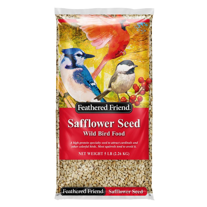 FEATHERED FRIEND Feathered Friend 14370 Safflower Seed Wild Bird Food, Straight, Seed, 5 lb Bag