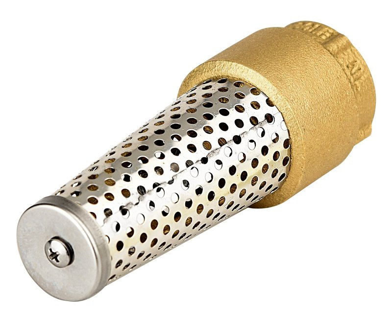 ECO-FLO FOOT VALVE BRASS 1IN