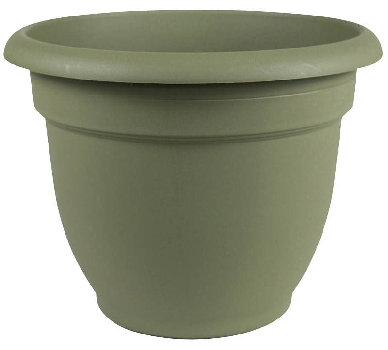 BLOEM Bloem 20-56406 Planter, 6 in Dia, 5-1/4 in H, 6-1/2 in W, Round, Plastic, Living Green LAWN & GARDEN BLOEM