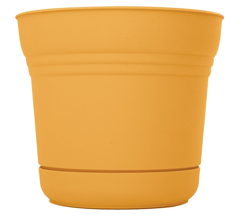 BLOEM Bloem SP0523 Planter, 5 in Dia, 4-1/2 in H, 5 in W, Saturn Design, Earthy Yellow, Matte