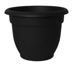 BLOEM Bloem 20-56906 Planter, 5-1/4 in H, 6-1/2 in W, Plastic, Black LAWN & GARDEN BLOEM