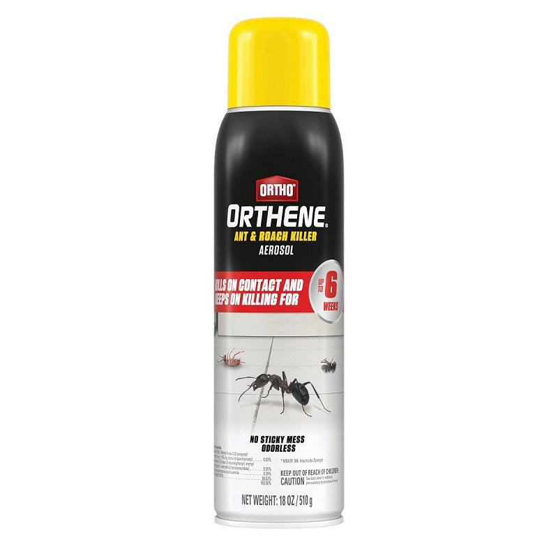 ORTHO Ortho Orthene 4662105 Ant and Roach Killer, Solid, 18 oz Aerosol Can