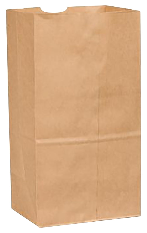 R3 R3 72609 Beer Bag, 65 lb Capacity, 8-1/4 in L, 6-1/8 in W, 15-7/8 in H, Paper