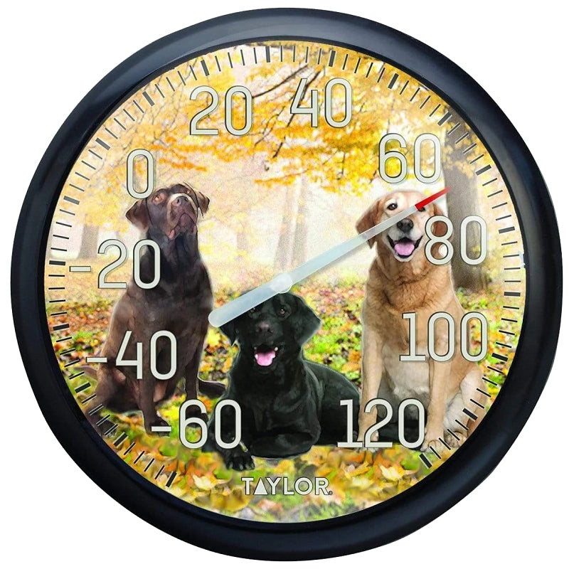 TAYLOR Taylor 6703N Labrador Thermometer, 13-1/4 in Display, -60 to 120 deg F HOUSEWARES TAYLOR