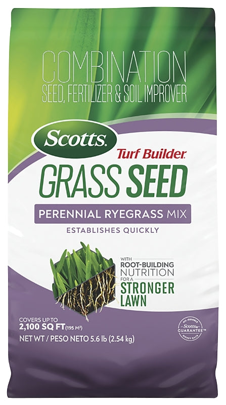 SCOTTS Scotts Turf Builder 18039 4-0-0 Grass Seed, Perennial Ryegrass, 5.6 lb Bag