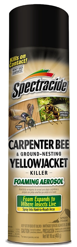 SPECTRACIDE Spectracide 53371 Killer Foam, Liquid, Spray Application, 16 oz LAWN & GARDEN SPECTRACIDE