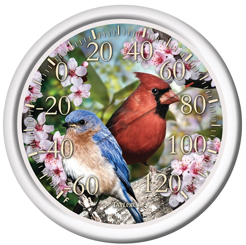 TAYLOR Taylor 6733 Thermometer, 12.72 x 12.5 x 11.38 in Dimensions HOUSEWARES TAYLOR