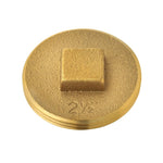 OATEY Oatey 42371 Cleanout Pipe Plug, 2-1/2 in, MNPT, Raised Head, Brass PLUMBING, HEATING & VENTILATION OATEY