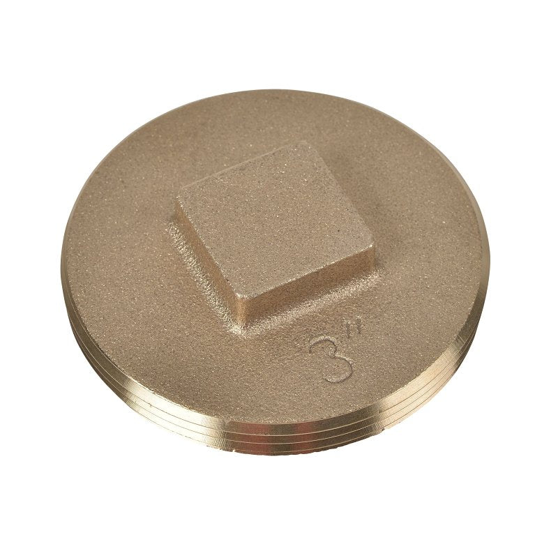 OATEY Oatey 42372 Cleanout Pipe Plug, 3 in, Raised Head, Brass