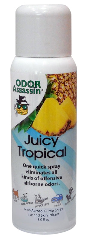 ODOR ASSASIN Odor Assasin 124951 Odor Eliminator, 6 oz Can, Orange Terpenes