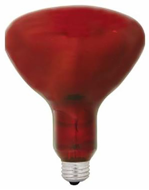 GE GE 37771 Heat Bulb, 250 W, R40 Lamp, E26 Medium Lamp Base, Red Light, 5000 hr Average Life ELECTRICAL GE