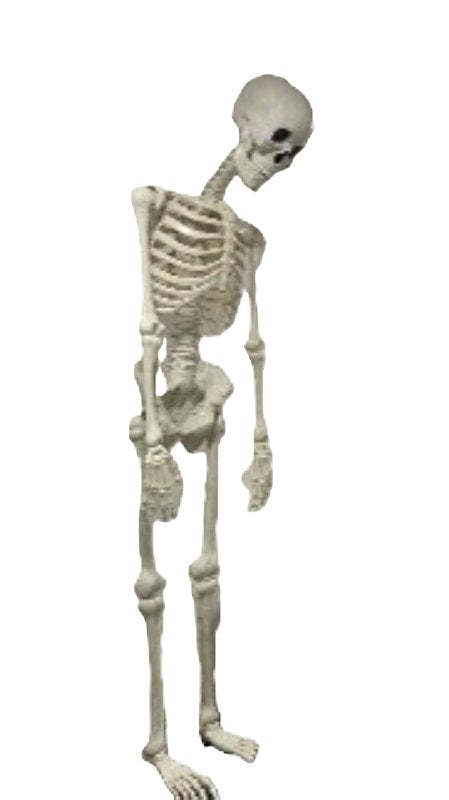 SANTAS FOREST Santas Forest 36101 Halloween Skeleton with Blink Eye, 10 ft H