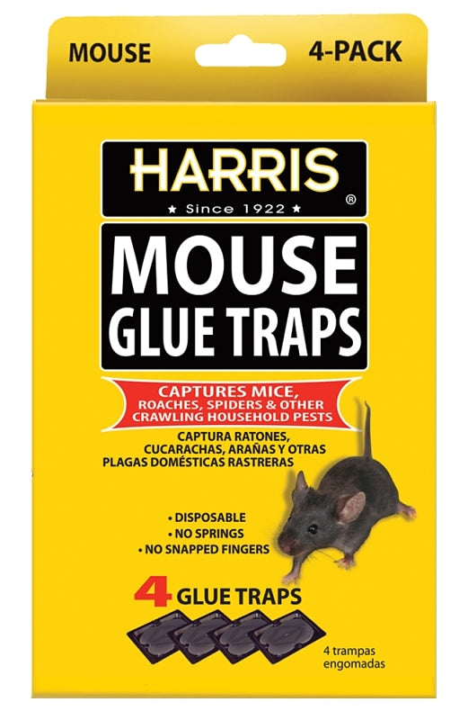 P.F. HARRIS MANUFACTURING Harris HMG-4 Mouse Glue Trap, Pre-Baited, Cardboard LAWN & GARDEN P.F. HARRIS MANUFACTURING