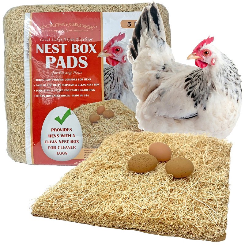 PECKING ORDER Pecking Order 9306 Nest Box Pads, 13 in H, 13 in W, Wood Fiber