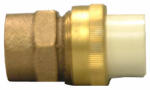 NIBCO INC Transition Pipe Union, 3/4 CPVC Slip x Brass FIP