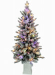 NATIONAL TREE CO-IMPORT 4.5' Flock Pre-Lit Pot