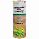 STERLING INTERNATIONAL Carpenter Bee TrapStik, Bird Guard, Odor-Free