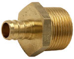 SHARKBITE/CASH ACME Pipe Adapter, Lead Free, 1/2 Brass Barb Insert x 3/4 In. MPT