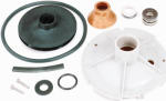 PENTAIR WATER Overhaul Repair Kit For .5-HP Fiberglass Shallow-Well Jet Pump