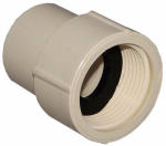 NIBCO INC CPVC Pipe Adapter with Rubber Gasket, 1/2 In. FPT