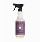 LIFESTYLE BRANDS 16OZ Elder MS Cleaner