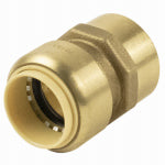 B&K LLC Push On Pipe Adapter 1/2 In. Copper x Female