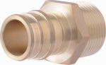 SHARKBITE/CASH ACME SharkBite PEX-A Brass 3/4 In. x 3/4 In. MNPT Adapter