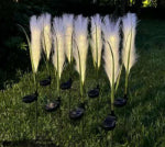 FUSION PRODUCTS LTD. Solar LED Bulrush Stick Light, 12 In. High