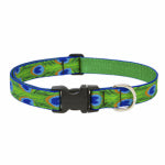 LUPINE INC Dog Collar, Adjustable, Tail Feather, 1 x 12 to 20 In.