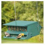 WOODLINK Squirrel Proof Feeder, 9 Lb.