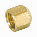 SHARKBITE/CASH ACME 15/16" Gas Flare Cap
