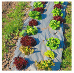 DEWITT COMPANY Biodegradable Natural Weed Barrier Fabric, 3 x 40-Ft. LAWN & GARDEN DEWITT COMPANY