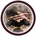 TAYLOR PRECISION PRODUCTS Bald Eagle Outdoor Thermometer, 13-In. HOUSEWARES TAYLOR PRECISION PRODUCTS