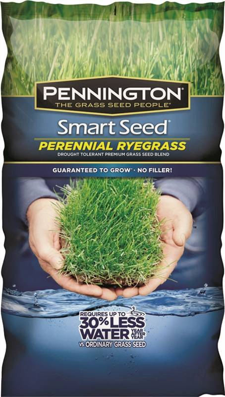 PENNINGTON SEED Pennington Smart Seed 100543717 Grass Seed, 3 lb Bag
