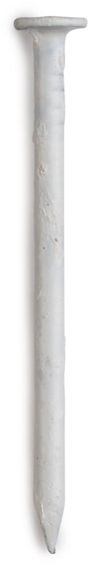 PRO-FIT ProFIT 0251078 Trim Nail, 1-1/4 in L, 304 Stainless Steel, Flat Head, Smooth Shank, White, 1 lb HARDWARE & FARM SUPPLIES PRO-FIT