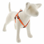 LUPINE INC Step-In Small Dog Harness, Reflective Orange Diamond Pattern, 3/4 x 15 - 21-In.