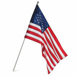 ANNIN FLAGMAKERS U.S. Flag & Pole Set, Nylon, 2.5 x 4 Ft. OUTDOOR LIVING & POWER EQUIPMENT ANNIN FLAGMAKERS