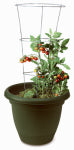 PANACEA PRODUCTS 3-Ring Tomato Cage, 33-Inch LAWN & GARDEN PANACEA PRODUCTS