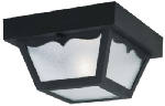 WESTINGHOUSE LIGHTING CORP 60-Watt Single-Bulb Black Porch Light