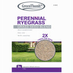 BARENBRUG USA Perennial Ryegrass Seed Mix, 3 Lbs., Covers 420 Sq. Ft.